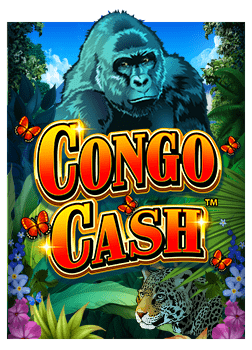 pg ฝาก ถอน: สูตรเพิ่มโอกาสชนะในเกมสล็อต